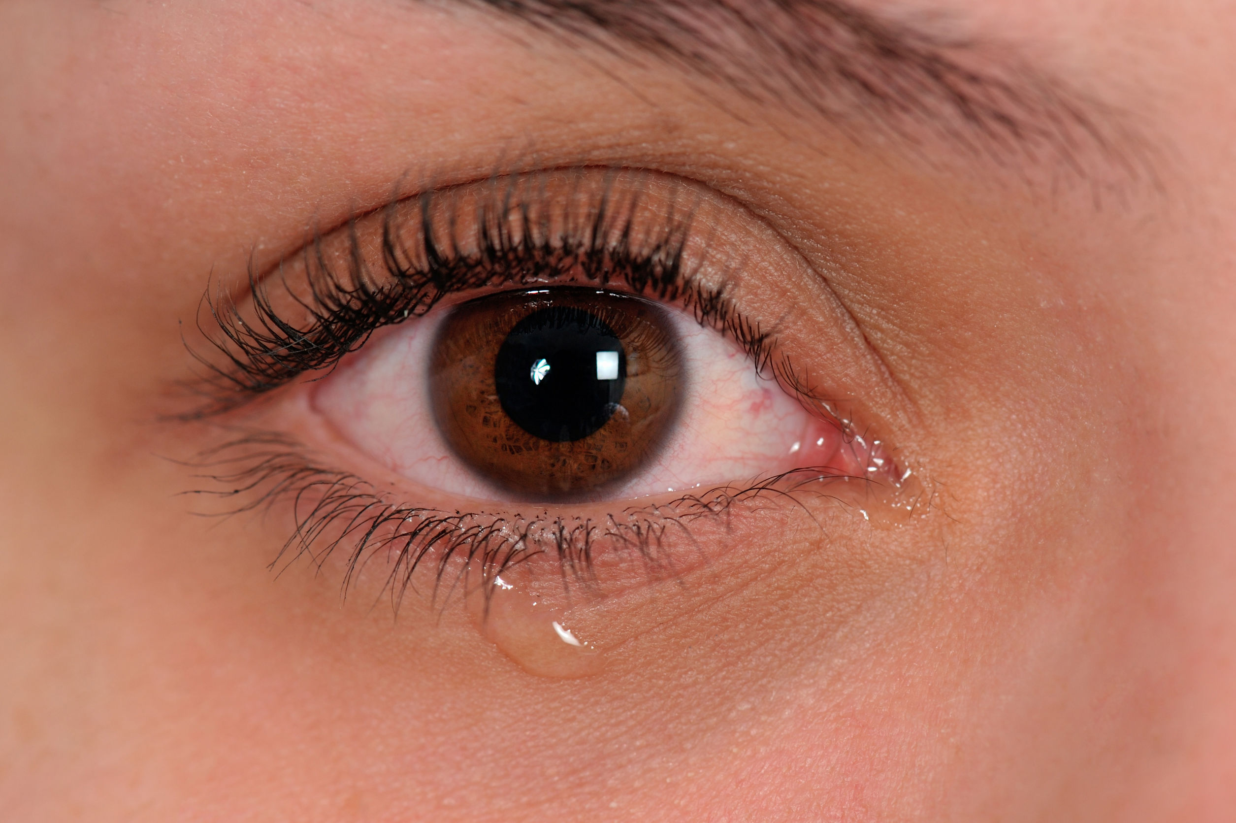 Glândula lacrimal: o que é e como atua