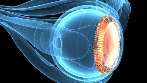 Mapeamento de retina: o que é e quando é indicado